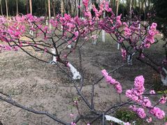 -大兴滨河森林公园