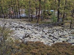 -莫尔道嘎国家森林公园