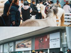 -凯德广场(金牛店)