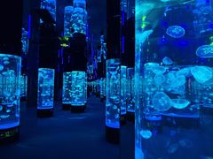 -成都浩海立方海洋公园