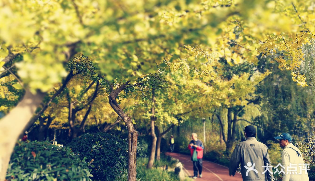 这次来上海住在长风公园附近，清早起来去散散步