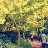 这次来上海住在长风公园附近，清早起来去散散步