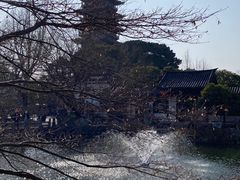 -常熟方塔园