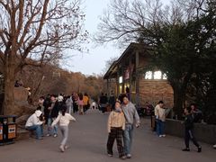 -紫金山山顶公园
