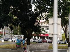 -万绿园
