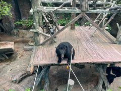 -长鹿旅游休博园