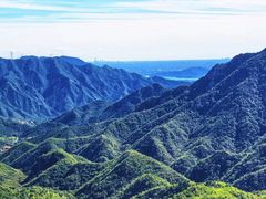-大岭沟猕猴桃谷风景区