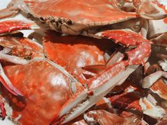 -北塘海鲜·天津菜(大光明桥旗舰店)