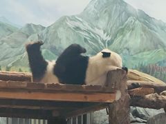 -武汉动物园