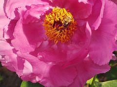 -国家植物园南园