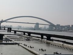 -上海山野camping·户外天幕烧烤·团建拓展营地