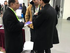 火烈鸟-随心小姐