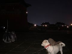 -北宋皇陵