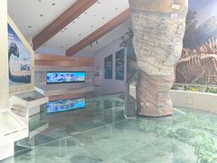 -延庆地质公园博物馆