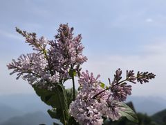 -白草畔自然风景区