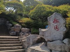-重庆彩云湖湿地公园