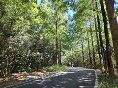 -苏州河梦清园环保主题公园