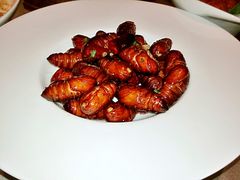 蚕蛹-一轩饺子馆(丽都店)