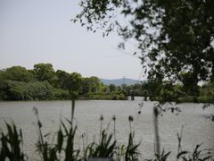 -苏州太湖国家湿地公园