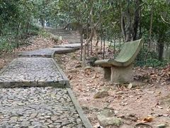 -上海佘山国家森林公园天马山园