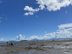 -巽寮湾