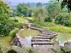 -张坝桂圆林公园