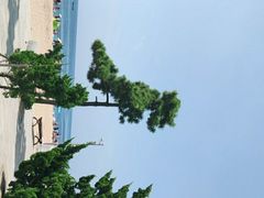 -傅家庄公园