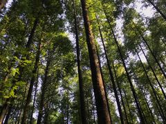 -山王坪喀斯特国家生态公园