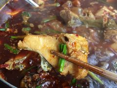 -江龙饭店·乌江豆腐鱼(乌江老桥头店)