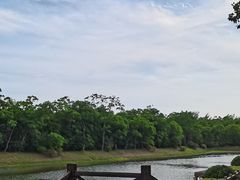 -上海海湾国家森林公园