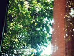 -boundaries籬苑(瑞光创意工厂-贰号院店)