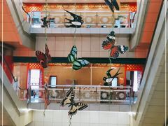 -全聚德(长江路店)