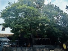 -娲皇宫