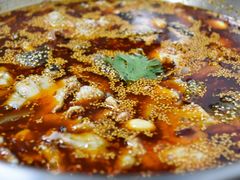 红汤鱼火锅-川渔居—鱼火锅(八方汇店)