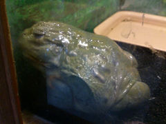 android_upload_pic-上海大自然野生昆虫馆