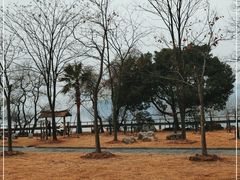 -东湖落雁景区
