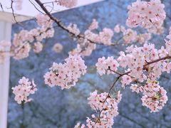 -龙美术馆(西岸馆)