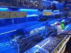 水产区-鹊华居·地道鲁菜·海鲜·融合味(大明湖店)