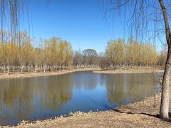 -东郊湿地公园