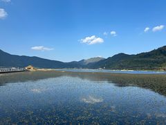 -腾冲北海湿地
