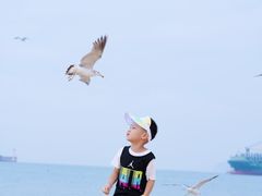 -海驴岛(荣成市)