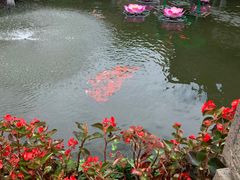 -鲜得来排骨年糕(豫园店)