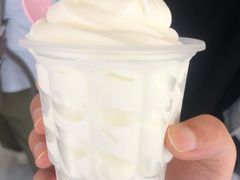 酸奶冰淇淋-白色日记·手作酸奶(麦凯乐店)