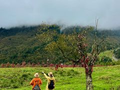 -硗碛藏寨·神木垒景区