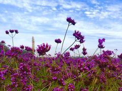 -汉九宫牛肉面·清真(兰州市自来水总公司住宅楼店)