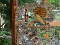 -时光花园(白鹭洲店)