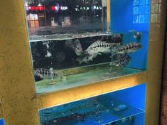 -淳安二十八道·新派民间菜·淳鱼馆(阳光路店)