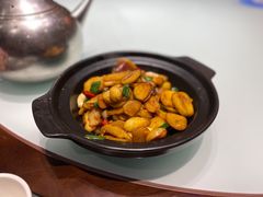 -新概念来凤鱼(璧山店)
