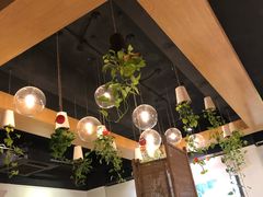 -柴务处·柴犬主题狗咖