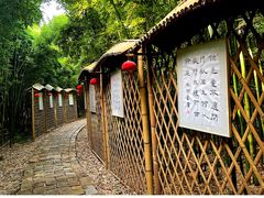 -同里国家湿地公园
